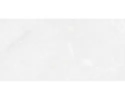 Feinsteinzeug Bodenfliese Armani 80,0x160,0 cm hellgrau glänzend rektifiziert