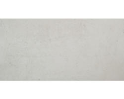 Feinsteinzeug Bodenfliese Vision 30,5x60,5 cm grau beige matt rektifiziert