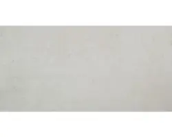 Feinsteinzeug Bodenfliese Vision 30,5x60,5 cm grau beige matt rektifiziert