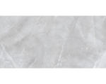 Hornbach Feinsteinzeug Bodenfliese Armani 80,0x160,0 cm grau glänzend rektifiziert