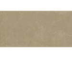 Hornbach Feinsteinzeug Bodenfliese Armani 80,0x160,0 cm braun glänzend rektifiziert