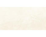 Hornbach Feinsteinzeug Bodenfliese Geo 60,0x120,0 cm beige seidenmatt rektifiziert