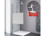 Hornbach Raumdusche Schulte ExpressPlus AlexaStyle 2.0 1000x1900 mm Dekor Dezent chromoptik