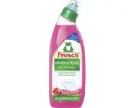Hornbach Himbeer-Essig WC-Reiniger Frosch 750 ml