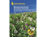 Hornbach Blumenmischung "Münsterländer Blütenmeer" Kiepenkerl Blumensamen