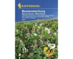 Hornbach Blumenmischung "Münsterländer Blütenmeer" Kiepenkerl Blumensamen