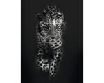 Hornbach Kunstdruck Leopard Dark 24x30 cm