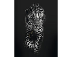 Kunstdruck Leopard Dark 40x50 cm