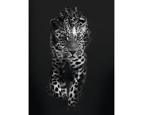 Kunstdruck Leopard Dark 24x30 cm