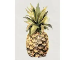 Kunstdruck Tropical Pineapple 50x70 cm