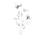Hornbach Kunstdruck Dandelions 24x30 cm