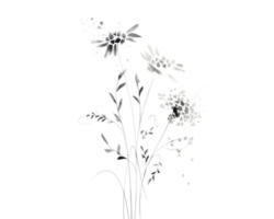 Kunstdruck Dandelions 50x70 cm