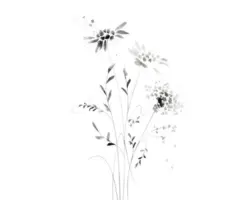 Kunstdruck Dandelions 24x30 cm