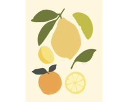 Kunstdruck Citrus Fruits 80x120 cm