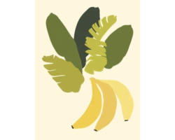 Kunstdruck Botanical Bananas 24x30 cm