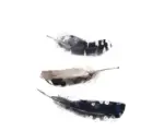 Hornbach Kunstdruck Falling Feathers 18x24 cm
