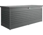Hornbach FreizeitBox Biohort 200 dunkelgrau-metallic