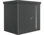 Hornbach Gartenhaus Biohort Neo inkl. Dachrinne Regale Set 222 x 166 cm