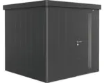Hornbach Gartenhaus Biohort Neo inkl. Dachrinne Regale Set 222 x 222 cm