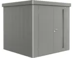 Hornbach Gartenhaus Biohort Neo inkl. Dachrinne Regale Set 222 x 222 cm