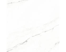 Feinsteinzeug Bodenfliese Verona 60,0x60,0 cm weiß matt