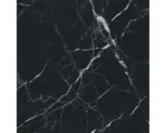 Hornbach Feinsteinzeug Bodenfliese Verona 60,0x60,0 cm schwarz matt
