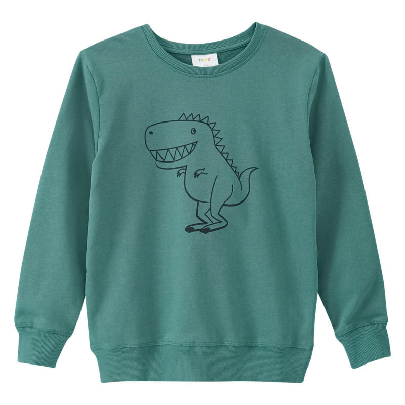Jungen Sweatshirt mit Dino-Print (Nur online)