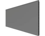 Hornbach Einzelprofil GroJa BasicLine 180 x 30 x 1,9 cm anthrazit