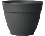 Hornbach Pflanztopf Deroma Ninfea r Ø 52 H 41,5 cm Kunststoff anthrazit