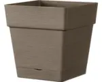 Hornbach Pflanztopf Deroma Quadro Save R 17x17 H 17 cm Kunststoff kamel
