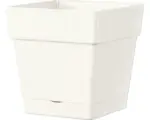 Hornbach Pflanztopf Deroma Quadro Save R 17x17 H 17 cm Kunststoff weiß