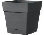 Hornbach Pflanztopf Deroma Quadro Save R 17x17 H 17 cm Kunststoff anthrazit