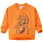 Ernsting's family Winnie Puuh Sweatshirt mit Tigger-Print - bis 17.04.2024