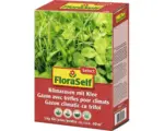 Hornbach Klimarasen mit Klee FloraSelf Select 1 kg / 40 m²