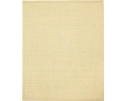 Teppich Manaus beige 165x235 cm