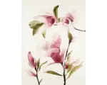 Hornbach Kunstdruck Magnolia II 70x100 cm