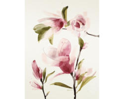 Kunstdruck Magnolia II 60x80 cm