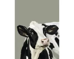 Kunstdruck Cow 70x100 cm