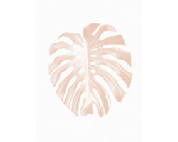 Kunstdruck Monstera Leaf 50x70 cm