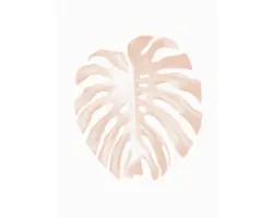 Kunstdruck Monstera Leaf 24x30 cm
