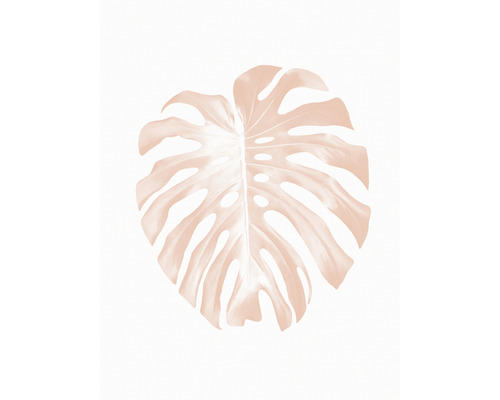 Kunstdruck Monstera Leaf 40x50 cm