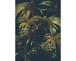 Hornbach Kunstdruck Tropical Jungle 30x40 cm