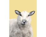 Hornbach Kunstdruck Suzi the Sheep 50x70 cm
