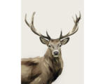 Hornbach Kunstdruck Deer 30x40 cm