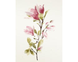 Kunstdruck Magnolia I 80x120 cm