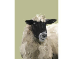 Kunstdruck Sheep 70x100 cm