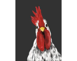 Kunstdruck Chicken 24x30 cm