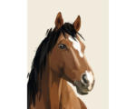 Hornbach Kunstdruck Horse 60x80 cm