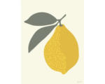 Hornbach Kunstdruck Lemon 50x70 cm