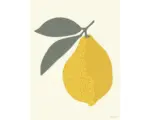 Hornbach Kunstdruck Lemon 50x70 cm